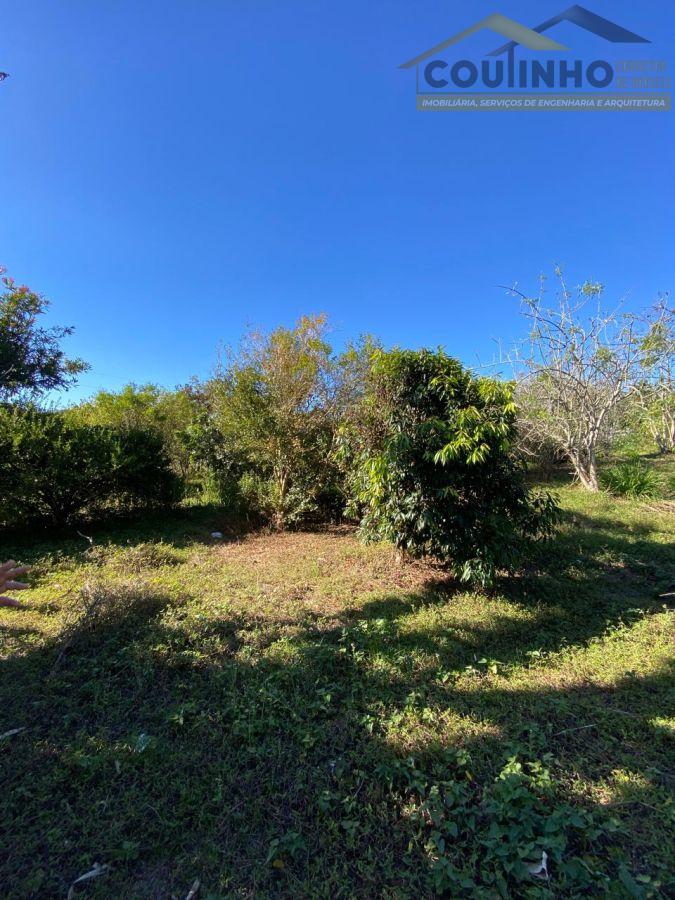 WhatsApp Image 2025-08-01 at 09.06.31 (20).jpeg